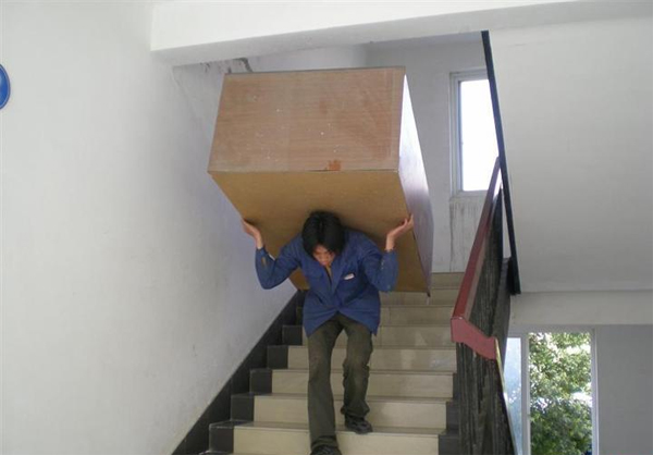 车辆展示